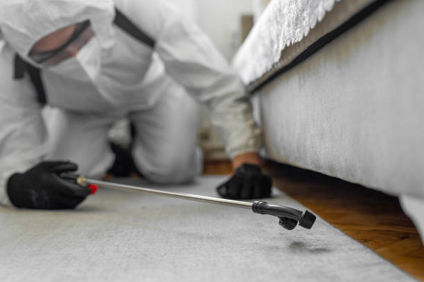 Professional Termite Control technician working in Lafayette, TN
