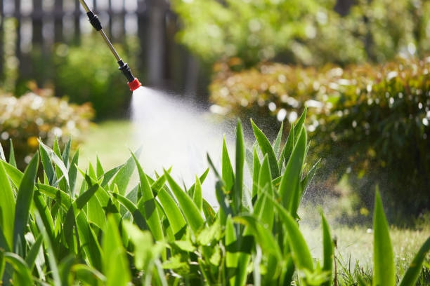 24/7 Emergency Termite Control experts in Lafayette, TN