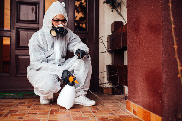 Reliable Termite Control contractor in Lafayette, TN by Nex Pest Control
