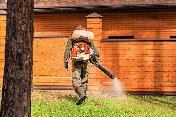 Trusted Emergency Pest Control service in Lafayette, TN - Nex Pest Control